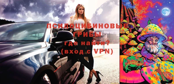 ПСИЛОЦИБИНОВЫЕ ГРИБЫ Лагань
