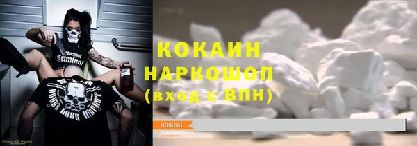 ПСИЛОЦИБИНОВЫЕ ГРИБЫ Лагань