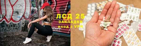 ПСИЛОЦИБИНОВЫЕ ГРИБЫ Лагань