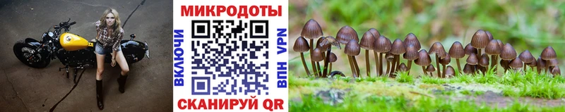 Псилоцибиновые грибы Psilocybine cubensis где купить Тында