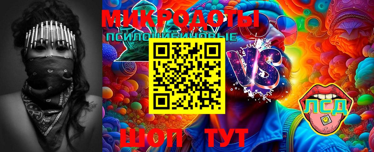 Тында  Галлюциногенные грибы MAGIC MUSHROOMS  Вход с VPN 