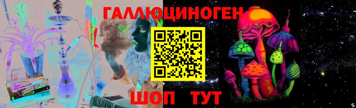 где можно купить наркотик  Тында  Псилоцибиновые грибы прущие грибы 